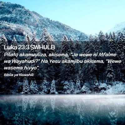 Picture 02 - Luka 23:3 SWHULB - Pilato akamuuliza, akisema, “Je wewe ni Mfalme - Bible Verse Picture