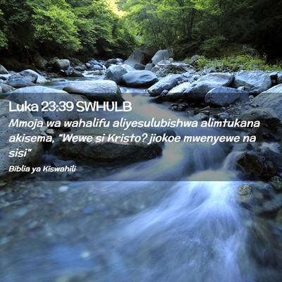 Picture 02 - Luka 23:39 SWHULB - Mmoja wa wahalifu aliyesulubishwa alimtukana - Bible Verse Picture