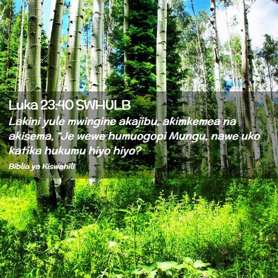 Picture 02 - Luka 23:40 SWHULB - Lakini yule mwingine akajibu, akimkemea na - Bible Verse Picture