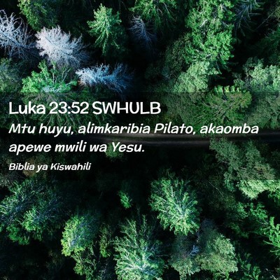 Picture 02 - Luka 23:52 SWHULB - Mtu huyu, alimkaribia Pilato, akaomba apewe mwili - Bible Verse Picture