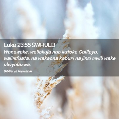 Picture 02 - Luka 23:55 SWHULB - Wanawake, waliokuja nao kutoka Galilaya, - Bible Verse Picture