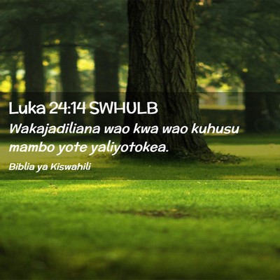 Picture 02 - Luka 24:14 SWHULB - Wakajadiliana wao kwa wao kuhusu mambo yote - Bible Verse Picture