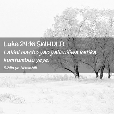 Picture 02 - Luka 24:16 SWHULB - Lakini macho yao yalizuiliwa katika kumtambua - Bible Verse Picture