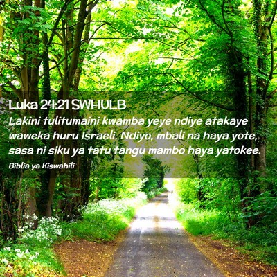 Picture 02 - Luka 24:21 SWHULB - Lakini tulitumaini kwamba yeye ndiye atakaye - Bible Verse Picture