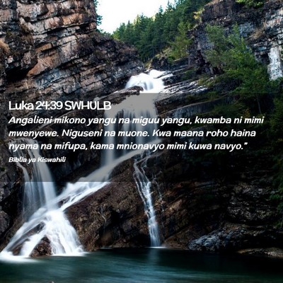 Picture 02 - Luka 24:39 SWHULB - Angalieni mikono yangu na miguu yangu, kwamba ni - Bible Verse Picture