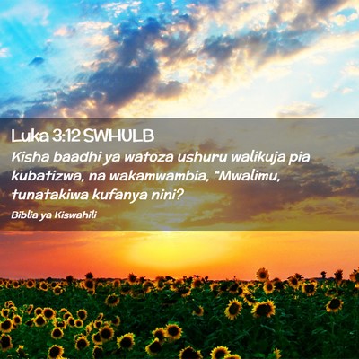 Picture 02 - Luka 3:12 SWHULB - Kisha baadhi ya watoza ushuru walikuja pia - Bible Verse Picture