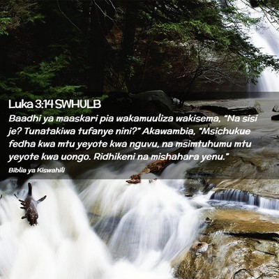 Picture 02 - Luka 3:14 SWHULB - Baadhi ya maaskari pia wakamuuliza wakisema, - Bible Verse Picture