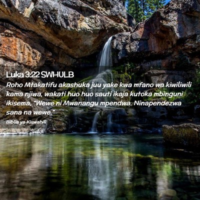 Picture 02 - Luka 3:22 SWHULB - Roho Mtakatifu akashuka juu yake kwa mfano wa - Bible Verse Picture