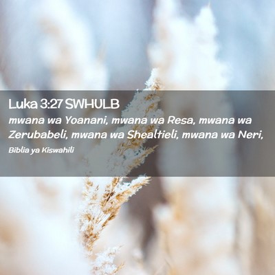 Picture 02 - Luka 3:27 SWHULB - mwana wa Yoanani, mwana wa Resa, mwana wa - Bible Verse Picture
