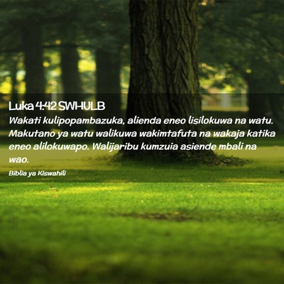Picture 02 - Luka 4:42 SWHULB - Wakati kulipopambazuka, alienda eneo lisilokuwa - Bible Verse Picture