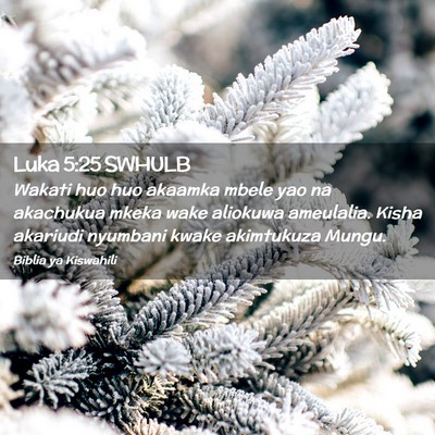 Picture 02 - Luka 5:25 SWHULB - Wakati huo huo akaamka mbele yao na akachukua - Bible Verse Picture