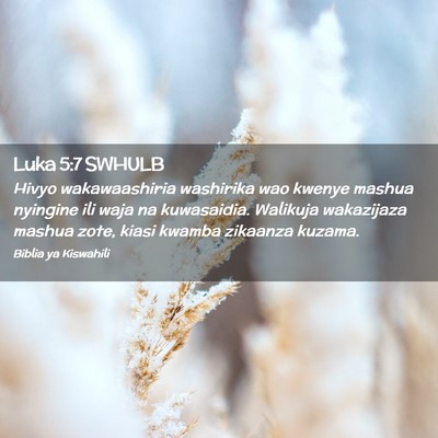 Picture 02 - Luka 5:7 SWHULB - Hivyo wakawaashiria washirika wao kwenye mashua - Bible Verse Picture