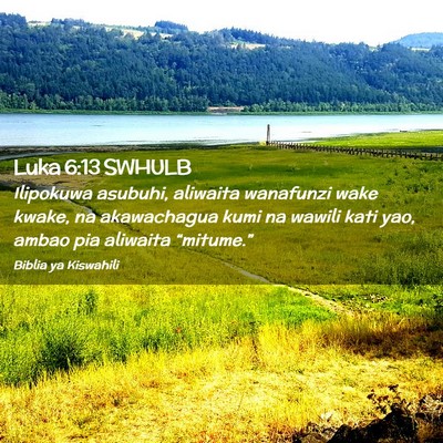 Picture 02 - Luka 6:13 SWHULB - Ilipokuwa asubuhi, aliwaita wanafunzi wake kwake, - Bible Verse Picture