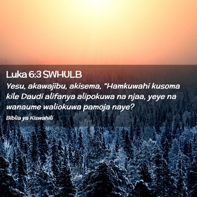 Picture 02 - Luka 6:3 SWHULB - Yesu, akawajibu, akisema, “Hamkuwahi kusoma - Bible Verse Picture