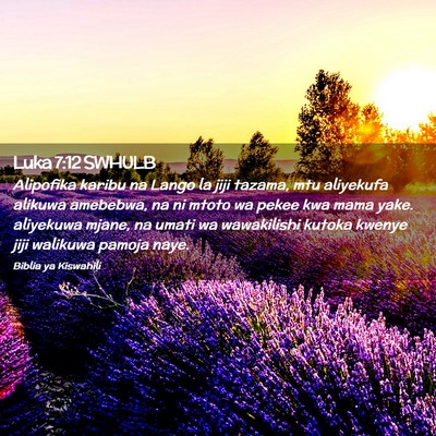 Picture 02 - Luka 7:12 SWHULB - Alipofika karibu na Lango la jiji tazama, mtu - Bible Verse Picture
