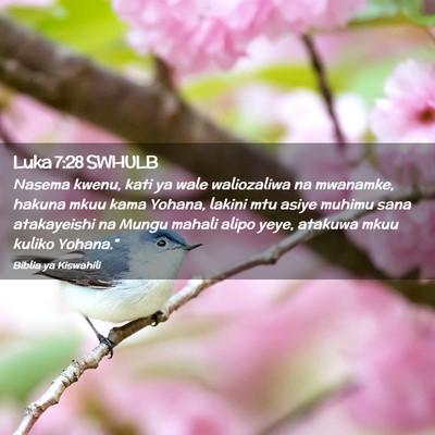 Picture 02 - Luka 7:28 SWHULB - Nasema kwenu, kati ya wale waliozaliwa na - Bible Verse Picture