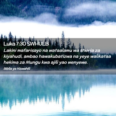 Picture 02 - Luka 7:30 SWHULB - Lakini mafarisayo na wataalamu wa sheria za - Bible Verse Picture