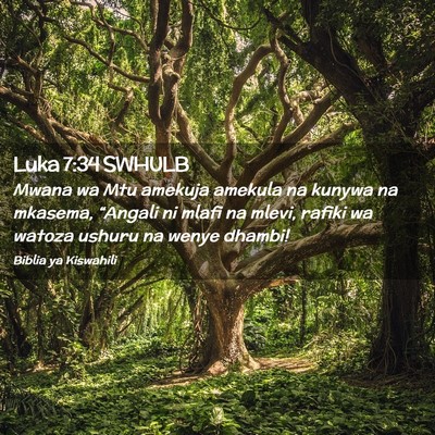 Picture 02 - Luka 7:34 SWHULB - Mwana wa Mtu amekuja amekula na kunywa na - Bible Verse Picture