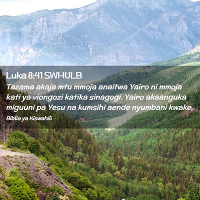 Picture 02 - Luka 8:41 SWHULB - Tazama akaja mtu mmoja anaitwa Yairo ni mmoja - Bible Verse Picture