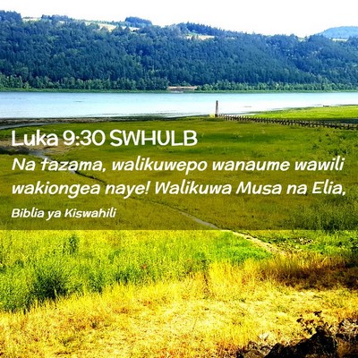 Picture 02 - Luka 9:30 SWHULB - Na tazama, walikuwepo wanaume wawili wakiongea - Bible Verse Picture