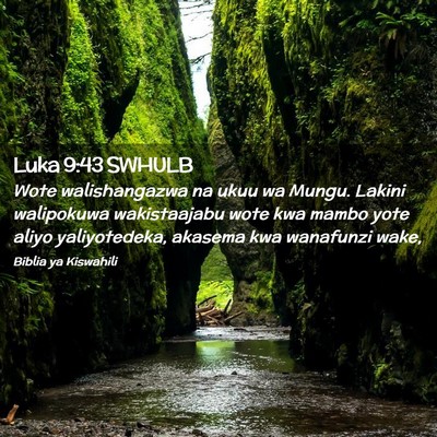 Picture 02 - Luka 9:43 SWHULB - Wote walishangazwa na ukuu wa Mungu. Lakini - Bible Verse Picture