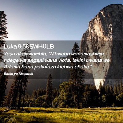 Picture 02 - Luka 9:58 SWHULB - Yesu akamwambia, “Mbweha wanamashimo, ndege wa - Bible Verse Picture