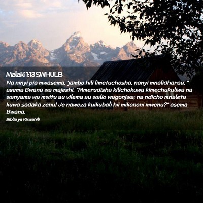 Picture 02 - Malaki 1:13 SWHULB - Na ninyi pia mwasema, 'jambo hili limetuchosha, - Bible Verse Picture