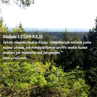 Picture 02 - Malaki 1:3 SWHULB - lakini nimemchukia Esau. nimeifanya milima yake - Bible Verse Picture
