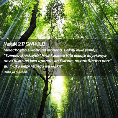Picture 02 - Malaki 2:17 SWHULB - Mmechosha Bwana na maneno. Lakini mwasema, - Bible Verse Picture