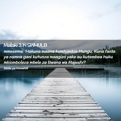 Picture 02 - Malaki 3:14 SWHULB - mmesema, 'Hakuna maana kumtumikia Mungu. Kuna - Bible Verse Picture