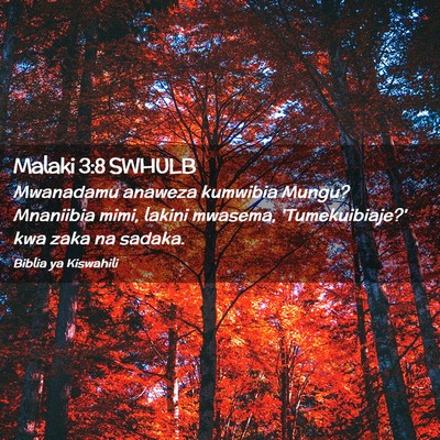 Picture 02 - Malaki 3:8 SWHULB - Mwanadamu anaweza kumwibia Mungu? Mnaniibia mimi, - Bible Verse Picture