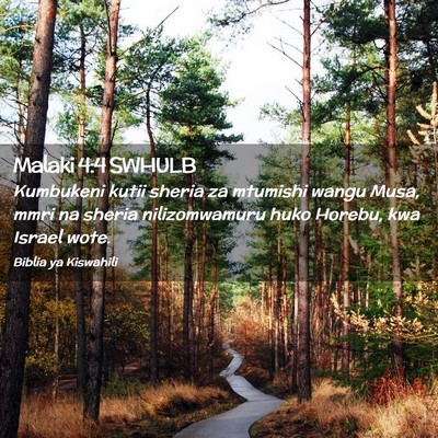 Picture 02 - Malaki 4:4 SWHULB - Kumbukeni kutii sheria za mtumishi wangu Musa, - Bible Verse Picture