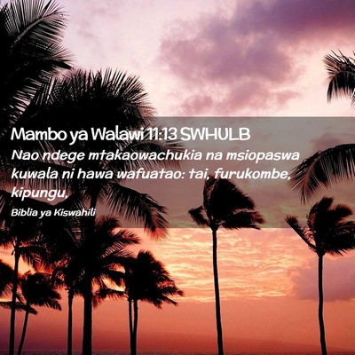 Picture 02 - Mambo ya Walawi 11:13 SWHULB - Nao ndege mtakaowachukia na msiopaswa kuwala ni - Bible Verse Picture