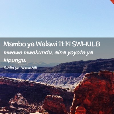 Picture 02 - Mambo ya Walawi 11:14 SWHULB - mwewe mwekundu, aina yoyote ya - Bible Verse Picture