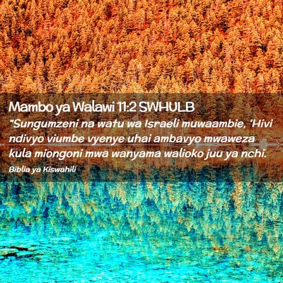 Picture 02 - Mambo ya Walawi 11:2 SWHULB - “Sungumzeni na watu wa Israeli muwaambie, 'Hivi - Bible Verse Picture