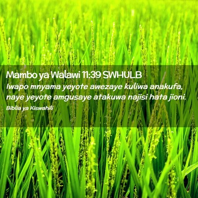 Picture 02 - Mambo ya Walawi 11:39 SWHULB - Iwapo mnyama yeyote awezaye kuliwa anakufa, naye - Bible Verse Picture