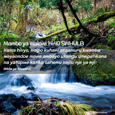 Picture 02 - Mambo ya Walawi 14:40 SWHULB - Kama hivyo, ndipo kuhani ataamuru kwamba - Bible Verse Picture