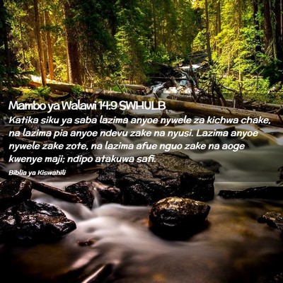 Picture 02 - Mambo ya Walawi 14:9 SWHULB - Katika siku ya saba lazima anyoe nywele za kichwa - Bible Verse Picture