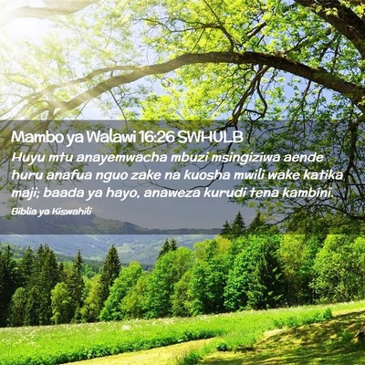 Picture 02 - Mambo ya Walawi 16:26 SWHULB - Huyu mtu anayemwacha mbuzi msingiziwa aende huru - Bible Verse Picture