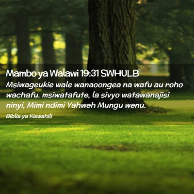 Picture 02 - Mambo ya Walawi 19:31 SWHULB - Msiwageukie wale wanaoongea na wafu au roho - Bible Verse Picture