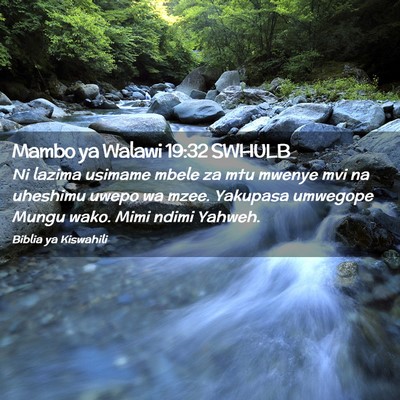 Picture 02 - Mambo ya Walawi 19:32 SWHULB - Ni lazima usimame mbele za mtu mwenye mvi na - Bible Verse Picture