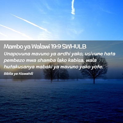 Picture 02 - Mambo ya Walawi 19:9 SWHULB - Unapovuna mavuno ya ardhi yako, usivune hata - Bible Verse Picture