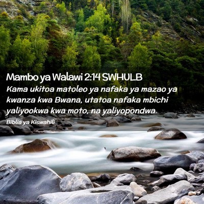 Picture 02 - Mambo ya Walawi 2:14 SWHULB - Kama ukitoa matoleo ya nafaka ya mazao ya kwanza - Bible Verse Picture