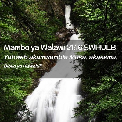 Picture 02 - Mambo ya Walawi 21:16 SWHULB - Yahweh akamwambia Musa, - Bible Verse Picture