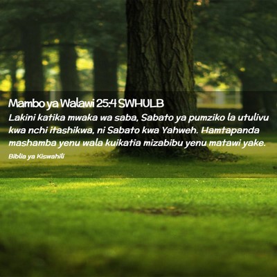 Picture 02 - Mambo ya Walawi 25:4 SWHULB - Lakini katika mwaka wa saba, Sabato ya pumziko la - Bible Verse Picture