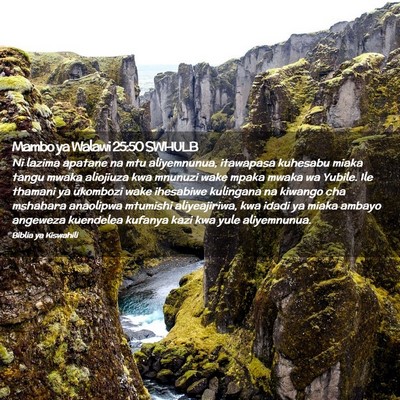 Picture 02 - Mambo ya Walawi 25:50 SWHULB - Ni lazima apatane na mtu aliyemnunua, itawapasa - Bible Verse Picture