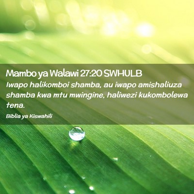 Picture 02 - Mambo ya Walawi 27:20 SWHULB - Iwapo halikomboi shamba, au iwapo amishaliuza - Bible Verse Picture