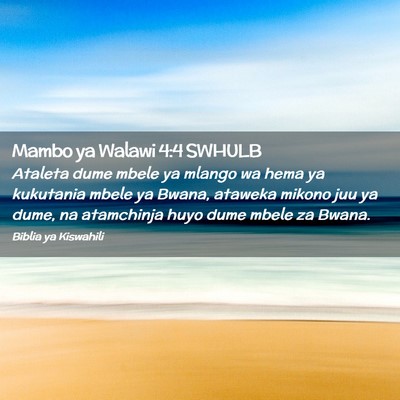 Picture 02 - Mambo ya Walawi 4:4 SWHULB - Ataleta dume mbele ya mlango wa hema ya kukutania - Bible Verse Picture