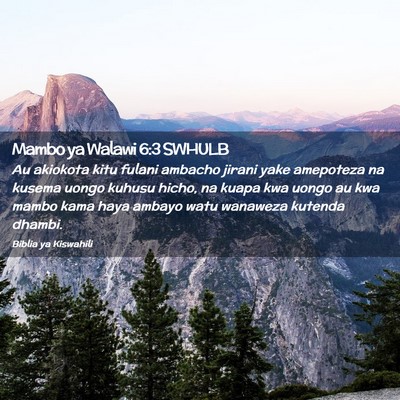 Picture 02 - Mambo ya Walawi 6:3 SWHULB - Au akiokota kitu fulani ambacho jirani yake - Bible Verse Picture