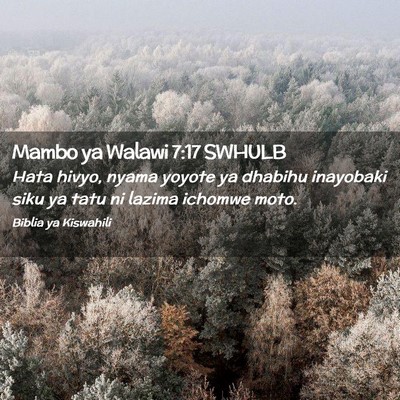 Picture 02 - Mambo ya Walawi 7:17 SWHULB - Hata hivyo, nyama yoyote ya dhabihu inayobaki - Bible Verse Picture